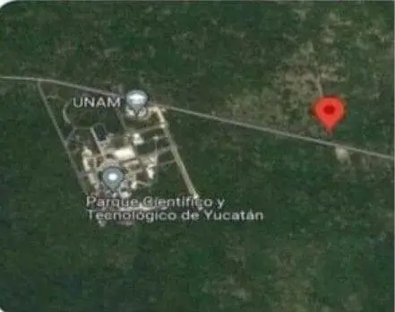 Sierra de Papacal Merida, Invierte en Este Terreno y Asegura Tu Futuro