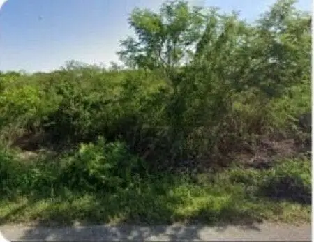 Sierra de Papacal Merida, Invierte en Este Terreno y Asegura Tu Futuro — foto 3