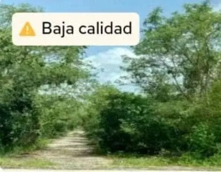 Sierra de Papacal Merida, Invierte en Este Terreno y Asegura Tu Futuro — foto 4