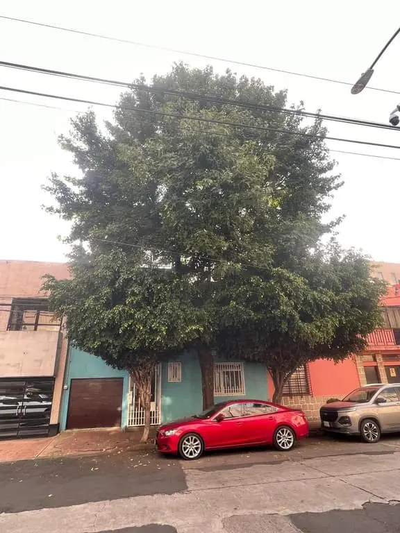 Casa en Venta en la Condesa con Uso de Oficina — foto 4
