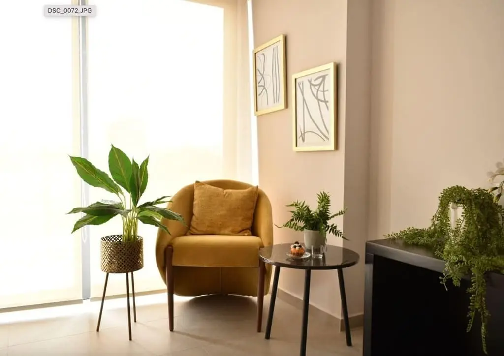 Nuevo Departamento Cerca de Plaza del Sol — foto 3