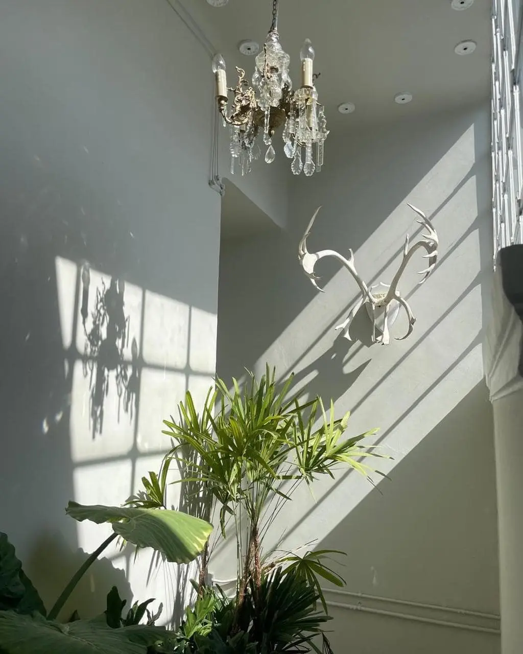 Casa En Condominio en renta Col Juárez 3 Recámaras — foto 4
