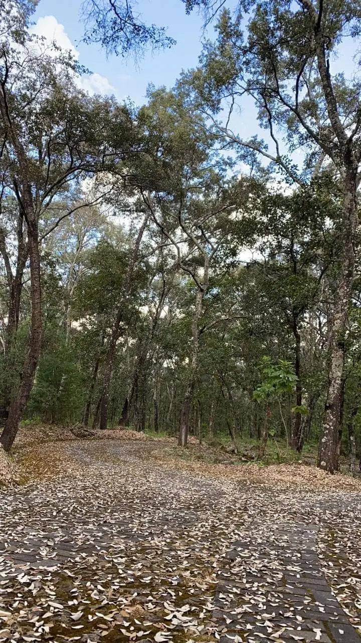 Terreno en venta en reserva de los encinos — foto 11