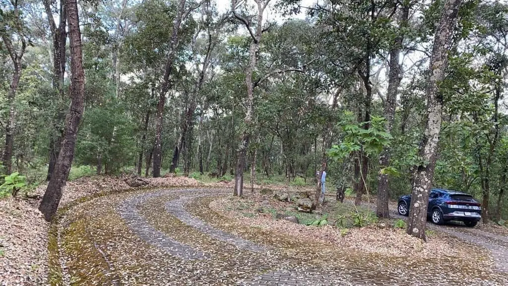 Terreno en venta en reserva de los encinos — foto 3