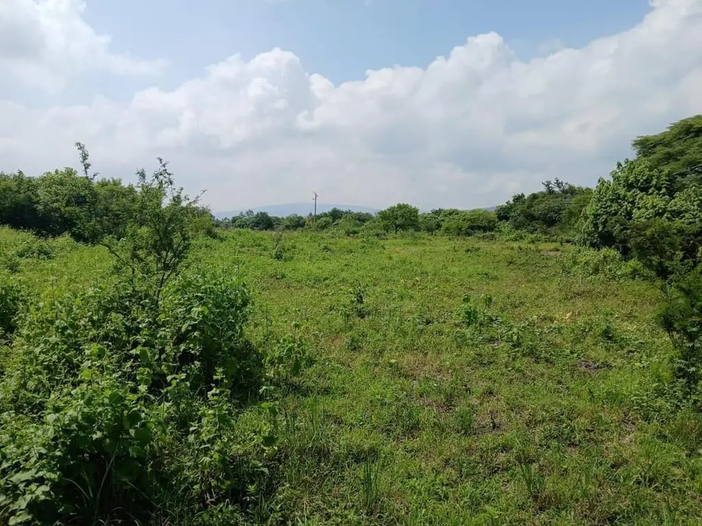 Zapotlanejo, Terreno en Venta, Atención Inversionistas