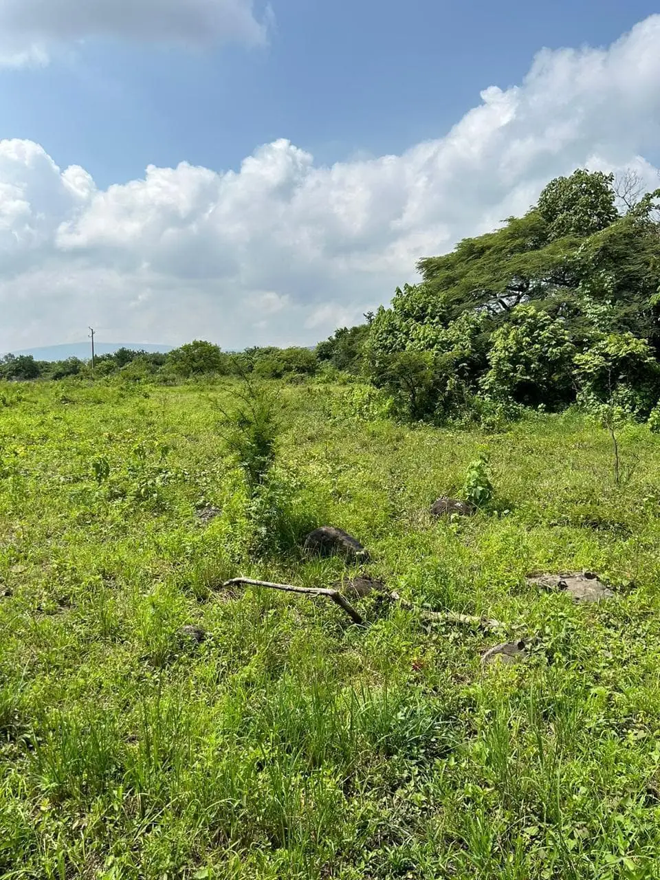 Zapotlanejo, Terreno en Venta, Atención Inversionistas — foto 2