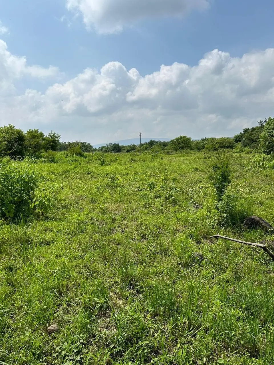 Zapotlanejo, Terreno en Venta, Atención Inversionistas — foto 4