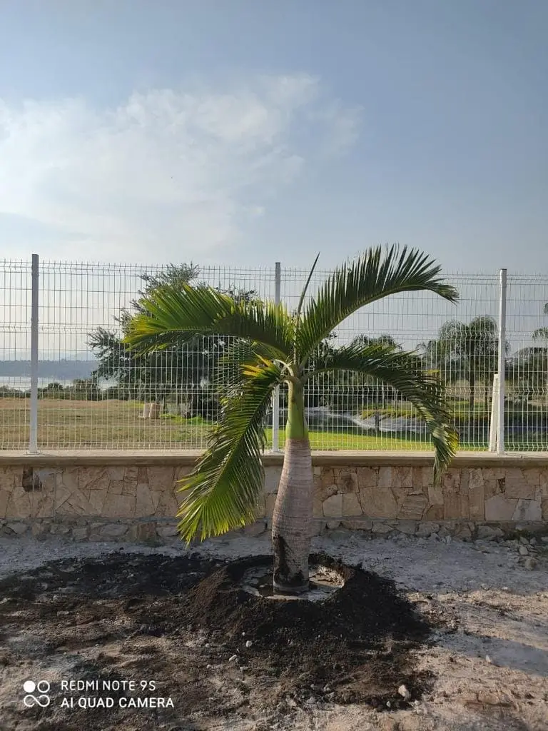 Venta de Terreno dentro de fraccionamiento en Tequesquitengo — foto 11