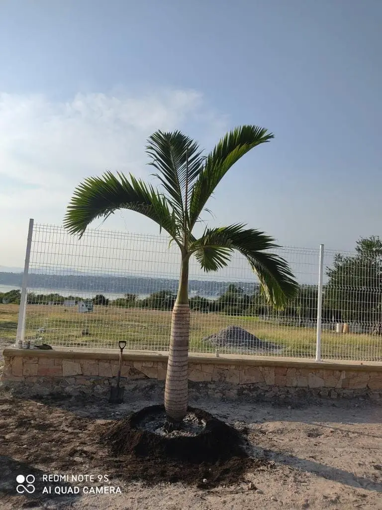 Venta de Terreno dentro de fraccionamiento en Tequesquitengo — foto 8