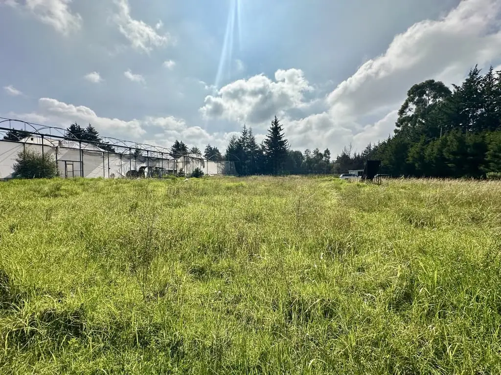 Terreno en Venta en Chimaliapan, Ocoyoacac