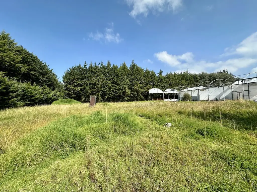 Terreno en Venta en Chimaliapan, Ocoyoacac — foto 11