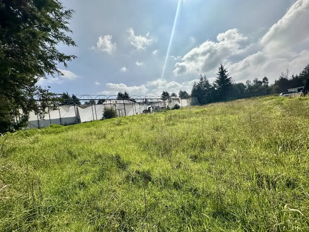 Terreno en Venta en Chimaliapan, Ocoyoacac — foto 12