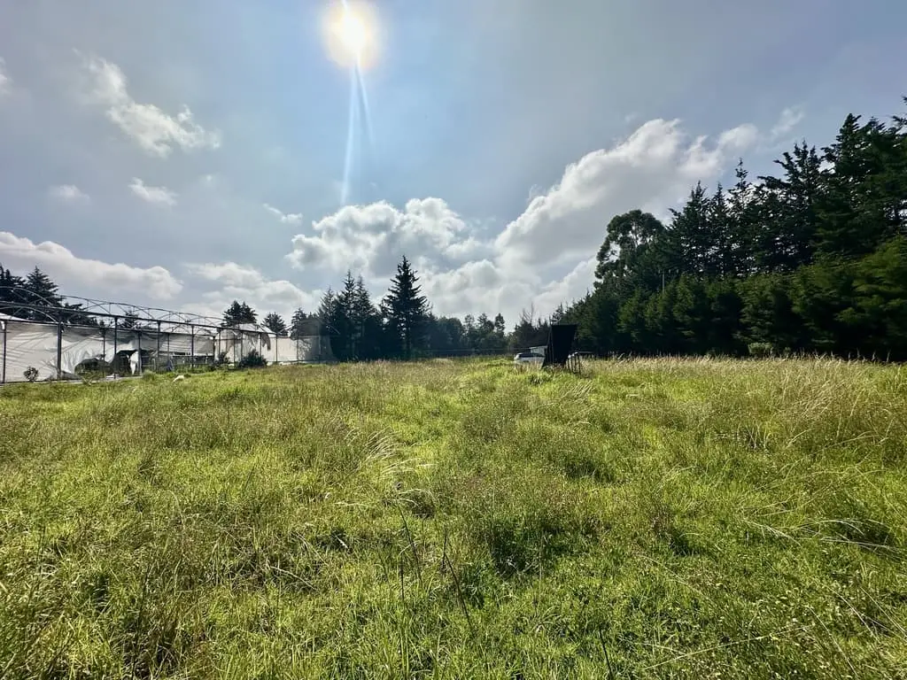 Terreno en Venta en Chimaliapan, Ocoyoacac — foto 3