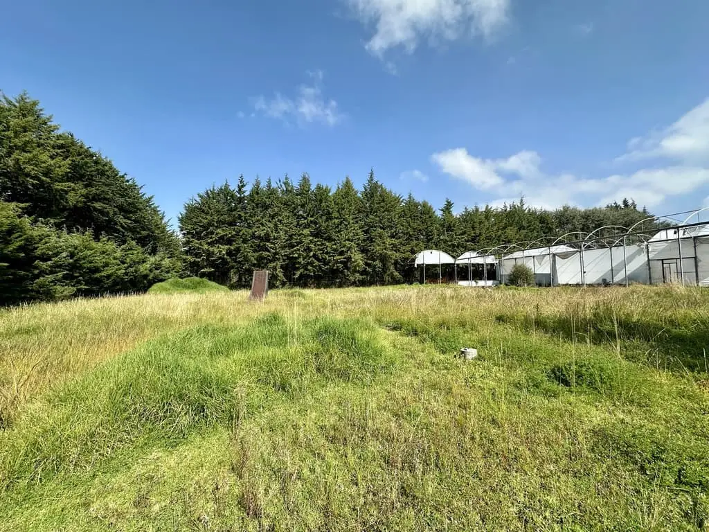 Terreno en Venta en Chimaliapan, Ocoyoacac — foto 4