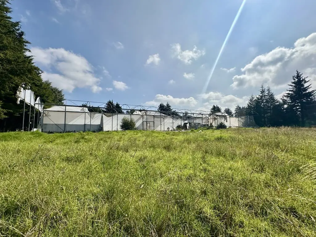 Terreno en Venta en Chimaliapan, Ocoyoacac — foto 5