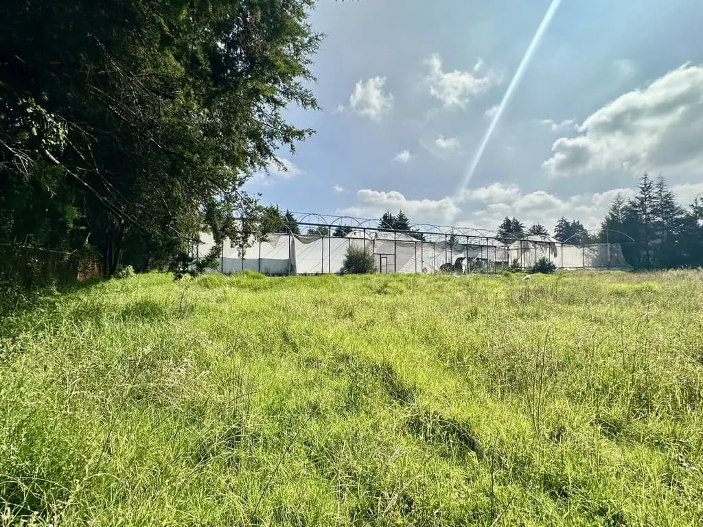Terreno en Venta en Chimaliapan, Ocoyoacac — foto 6