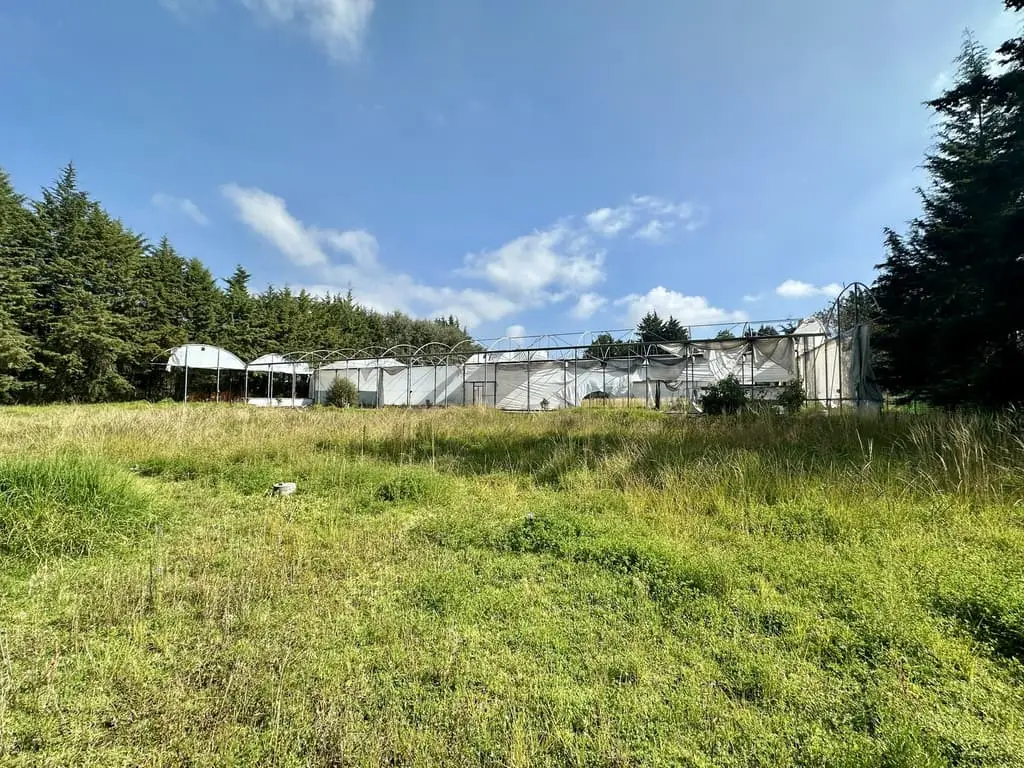 Terreno en Venta en Chimaliapan, Ocoyoacac — foto 7