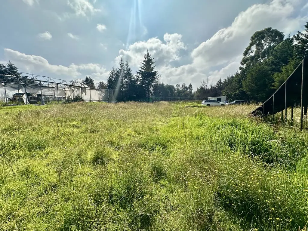 Terreno en Venta en Chimaliapan, Ocoyoacac — foto 8