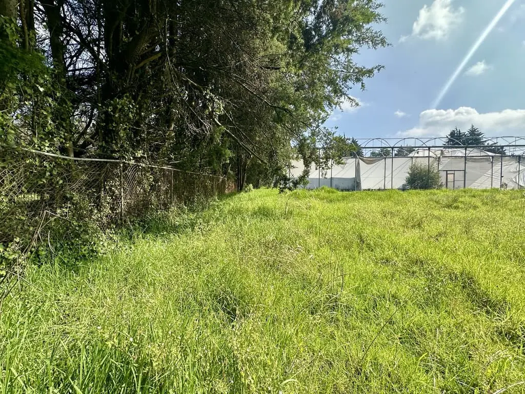Terreno en Venta en Chimaliapan, Ocoyoacac — foto 9