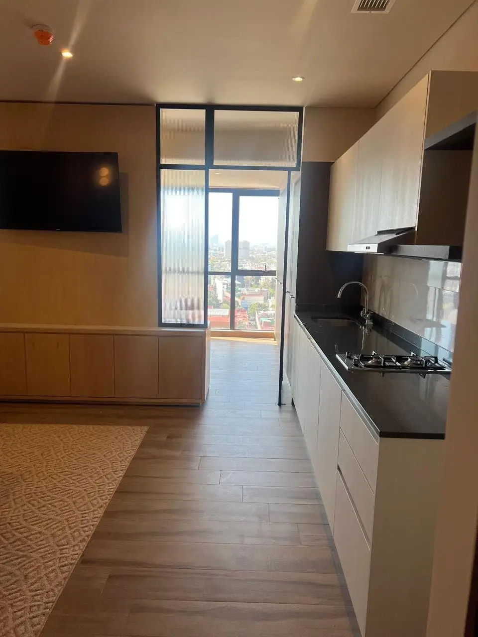 Venta de Loft a estrenar en La Tabacalera — foto 6