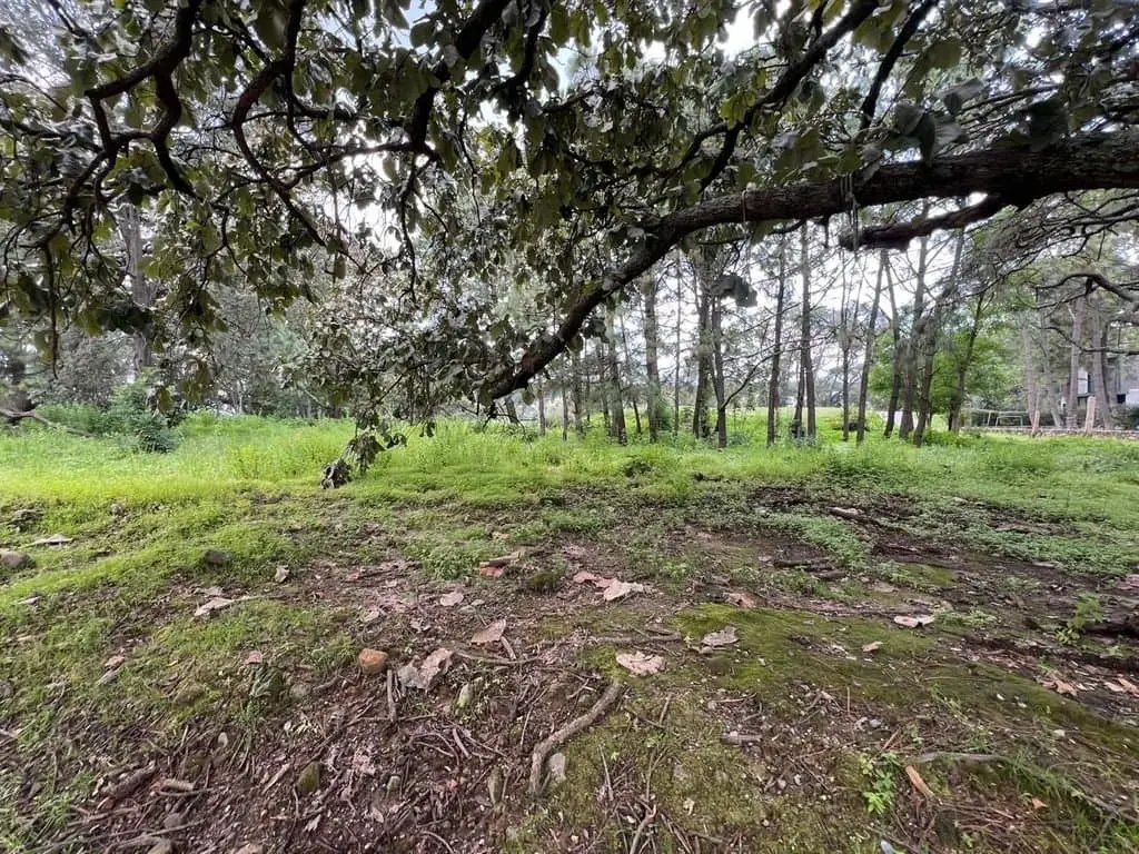 Terreno en Venta, El Cielo Country Club, El Palomar. — foto 5