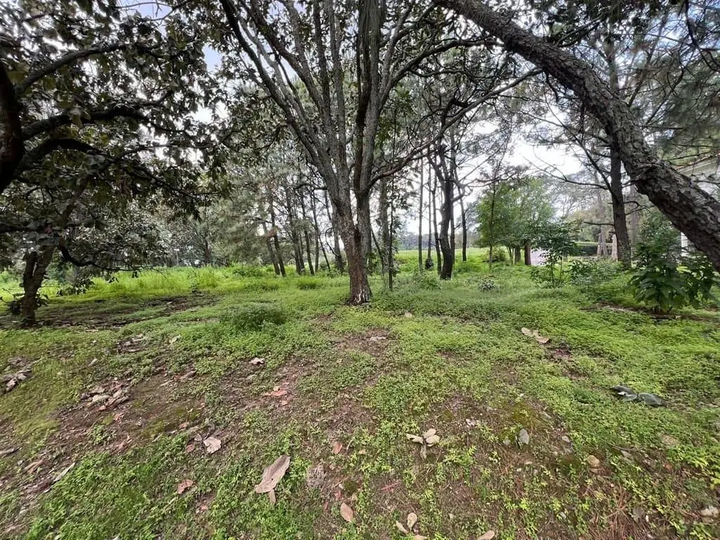 Terreno en Venta, El Cielo Country Club, El Palomar. — foto 6