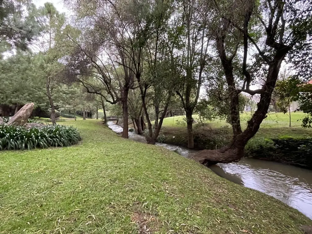 Terreno en Venta – Tapalpa, Jalisco — foto 11