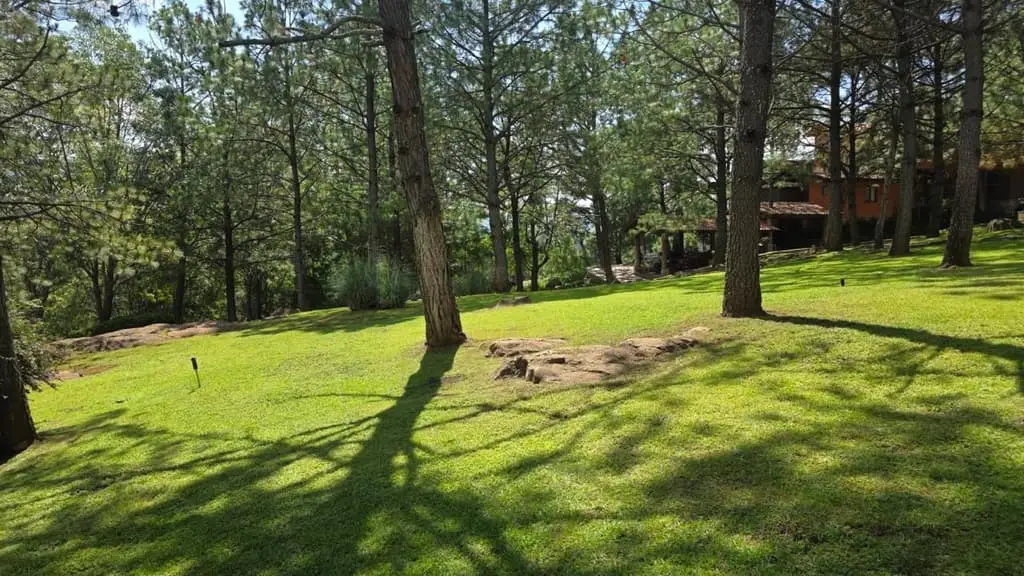 Terreno en Venta – Tapalpa, Jalisco — foto 4