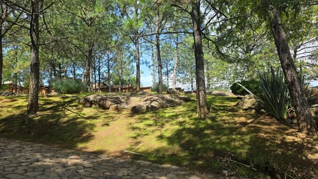 Terreno en Venta – Tapalpa, Jalisco — foto 5