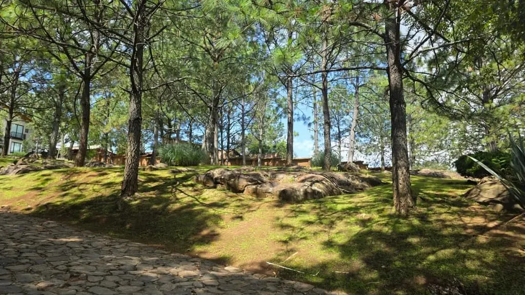 Terreno en Venta – Tapalpa, Jalisco — foto 8