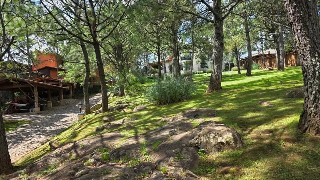 Terreno en Venta – Tapalpa, Jalisco — foto 10