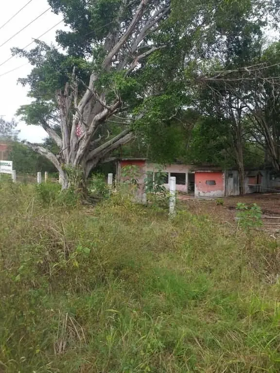 Terreno Comercial en renta a unos metros del Aeropuerto de Villahermosa Tabasco — foto 3