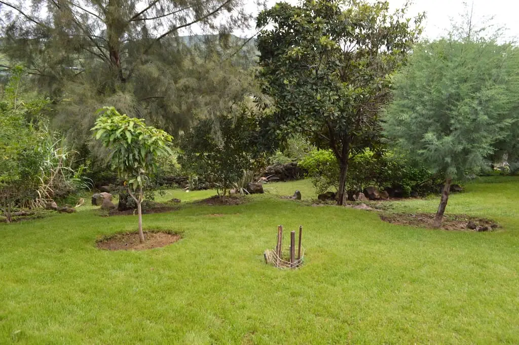 Casa de Campo en Teuchitlán, Jalisco — foto 11