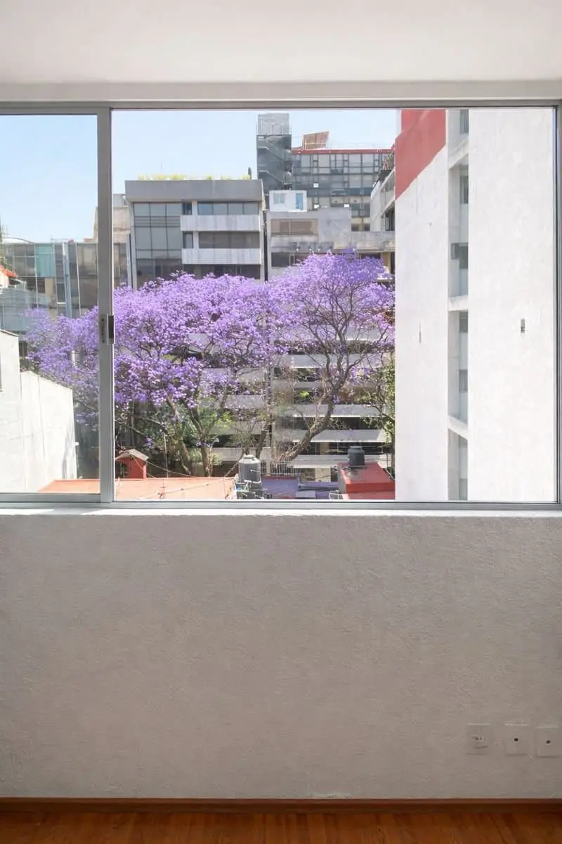 Departamento Venta Para Remodelar Emerson 124 Polanco V Sección 2 Recámaras