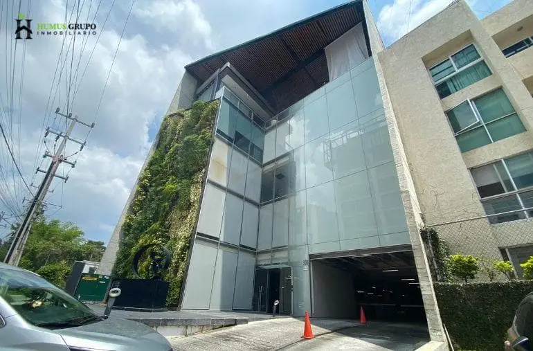 oficina en renta en colomos providencia piso 4
