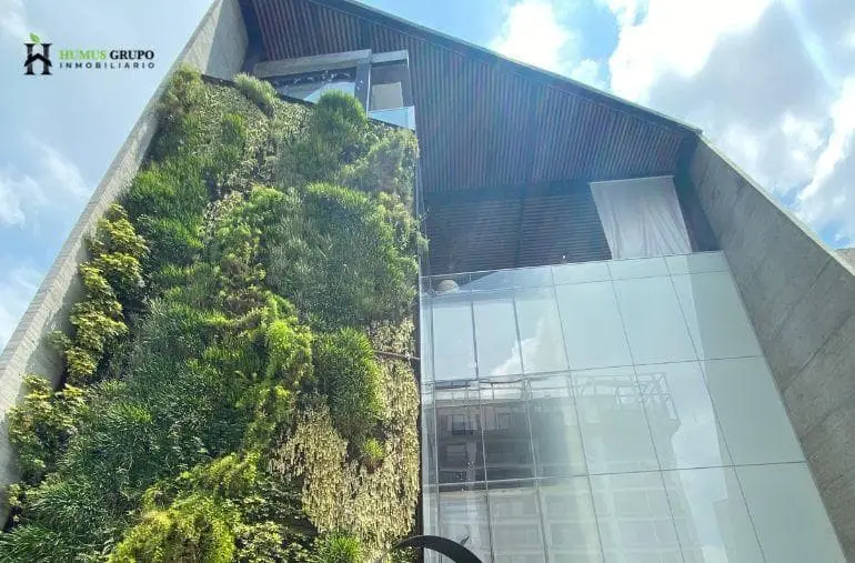 oficina en renta en colomos providencia piso 4 — foto 3