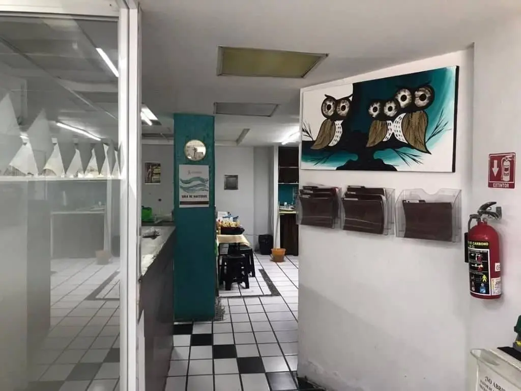 Edificio oportunidad 3 niveles en Venta en Federalismo Americana Guadalajara — foto 3