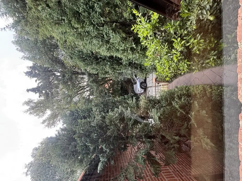 Casa en venta en Cuajimalpa 3 Recámaras, bonito diseño arquitectonico — foto 6