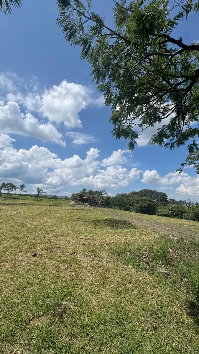 Terreno venta, Cumbres de Ombu, Acatlán de Juárez | RTV-OP240 — foto 3