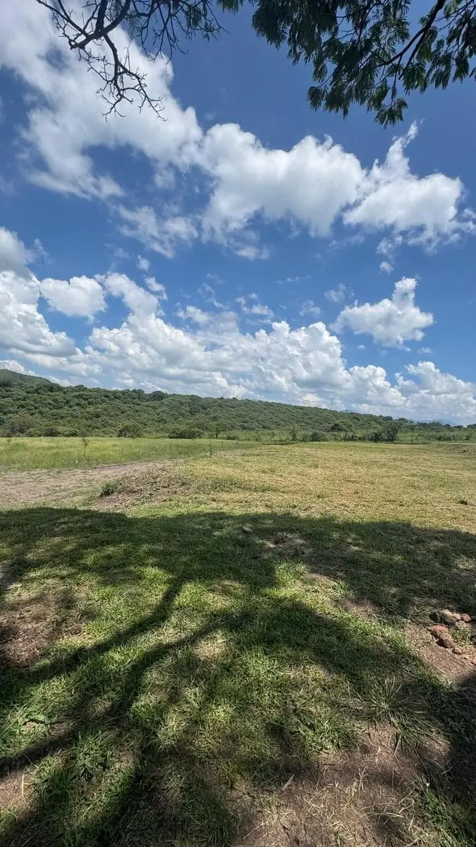 Terreno venta, Cumbres de Ombu, Acatlán de Juárez | RTV-OP240 — foto 4
