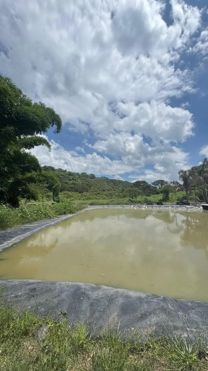 Terreno venta, Cumbres de Ombu, Acatlán de Juárez | RTV-OP240 — foto 5