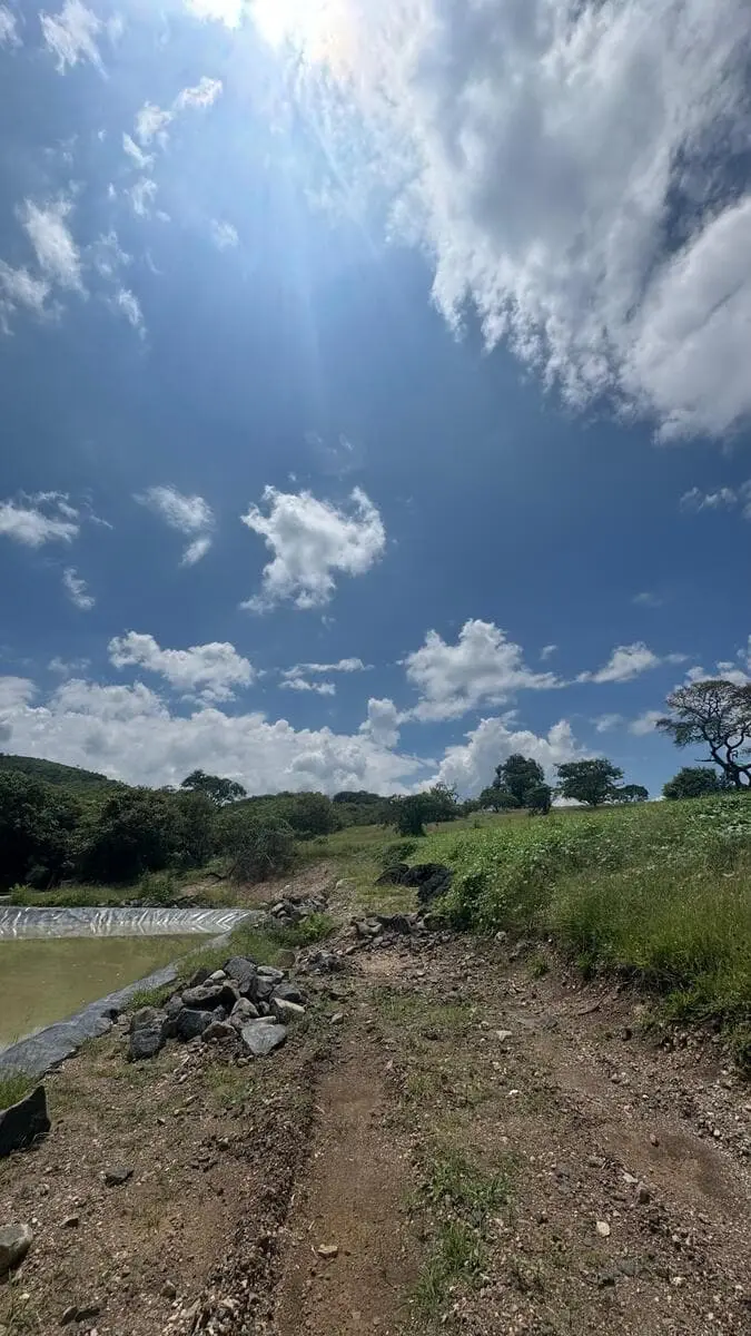 Terreno venta, Cumbres de Ombu, Acatlán de Juárez | RTV-OP240 — foto 8