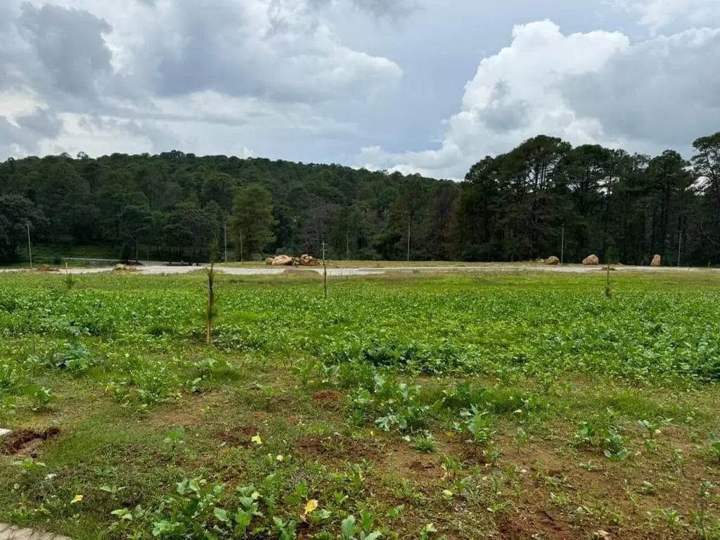 Terreno en Tapalpa — foto 3