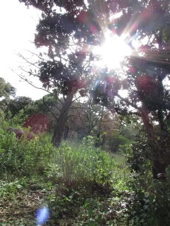 Terreno en Venta en Tapalpa, Jal. — foto 11