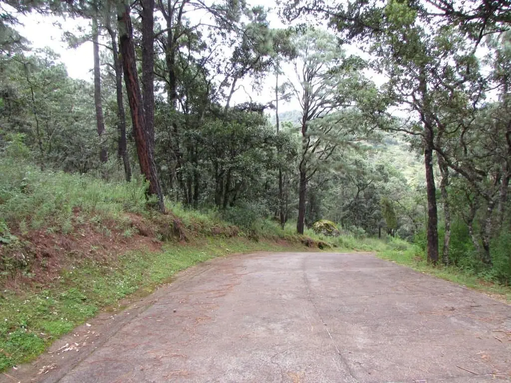Terreno en Venta en Tapalpa, Jal. — foto 12