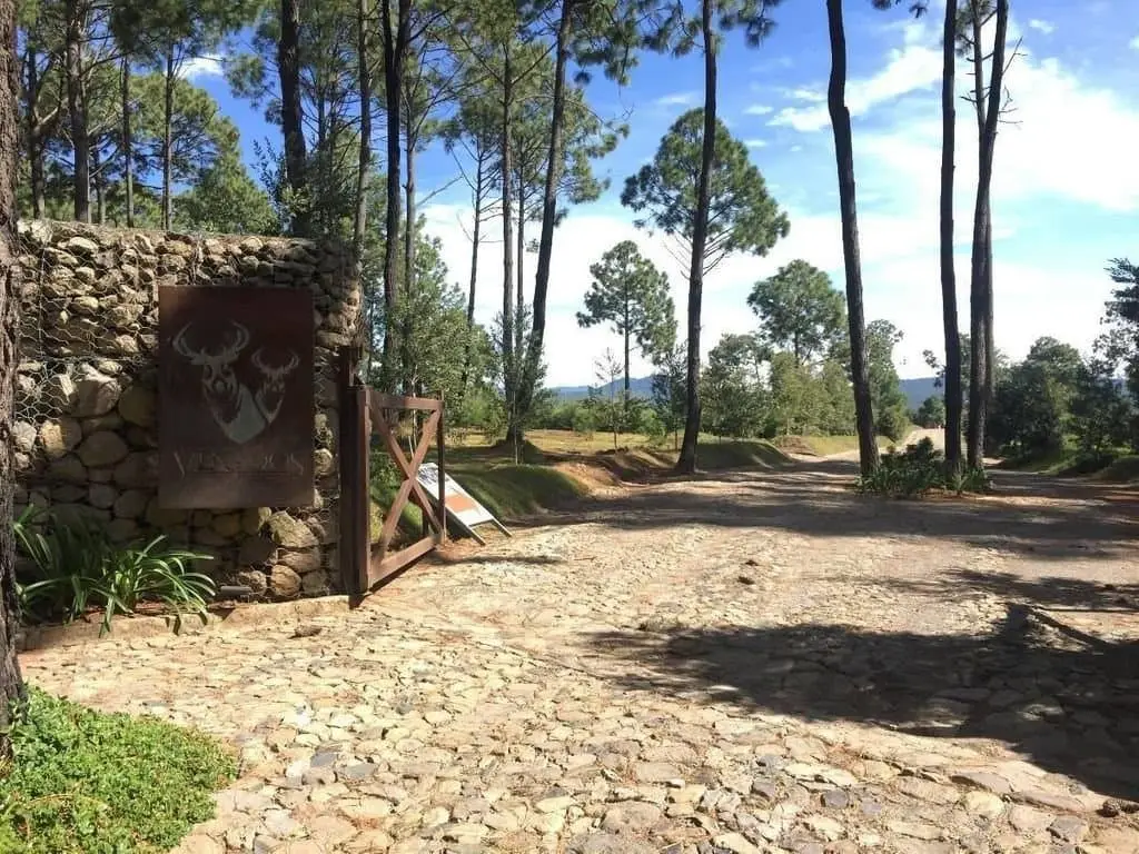 Terreno en Venta en Tapalpa, Jal. — foto 4