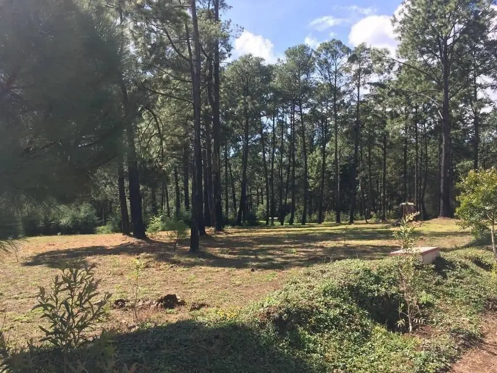 Terreno en Venta en Tapalpa, Jal. — foto 8