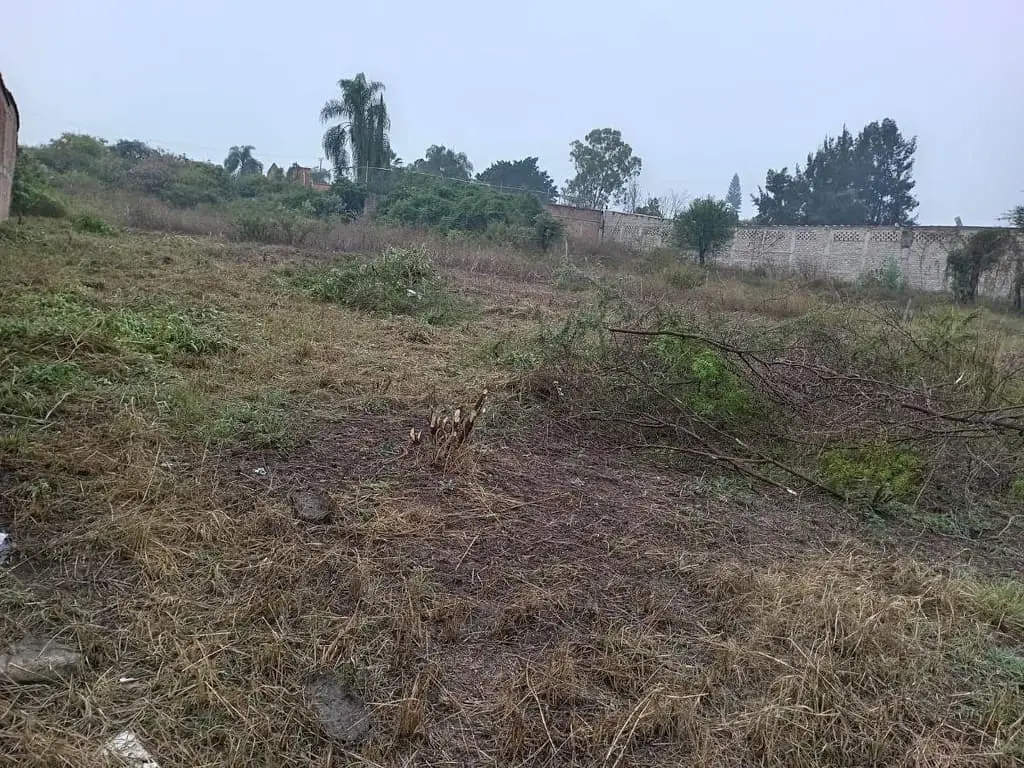 Terreno en Venta en los Sauces