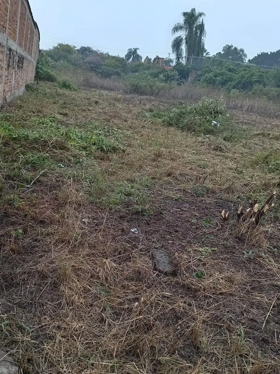 Terreno en Venta en los Sauces — foto 5