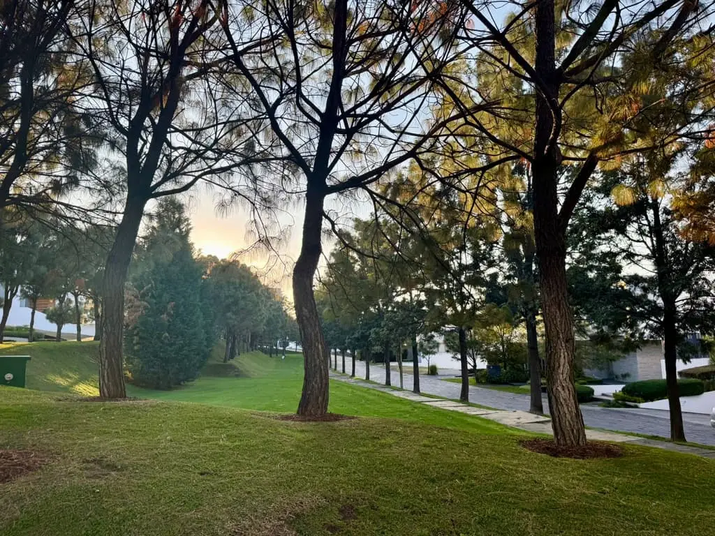 Terreno en venta, Alcazar Oriente — foto 11